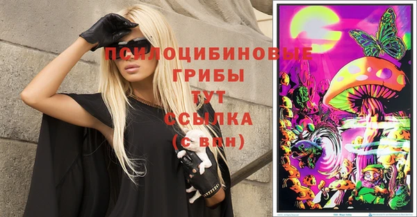 молекула духа Балахна