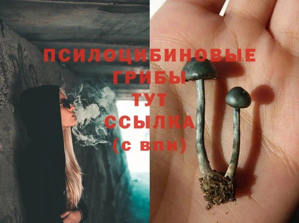 молекула духа Балахна
