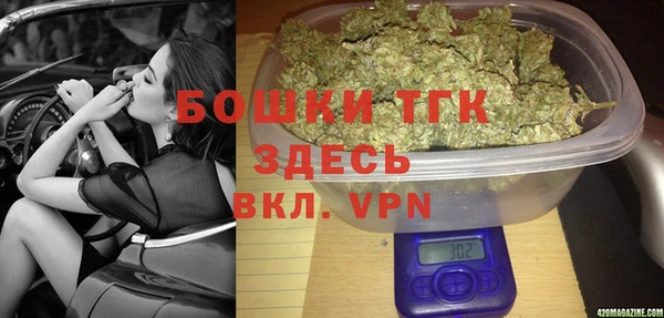 молекула духа Балахна