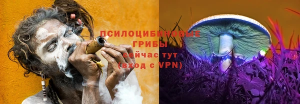 молекула духа Балахна
