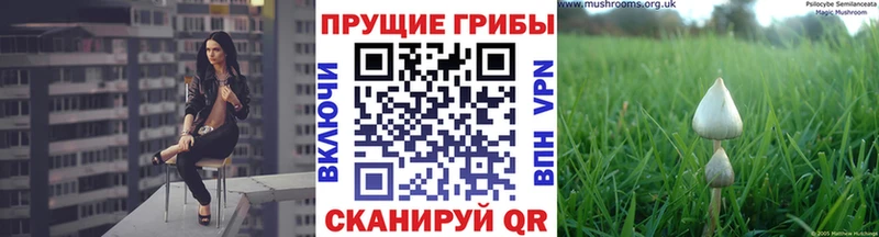 Галлюциногенные грибы мицелий  Вольск 